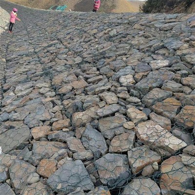 تشک رنو ارتفاع کم